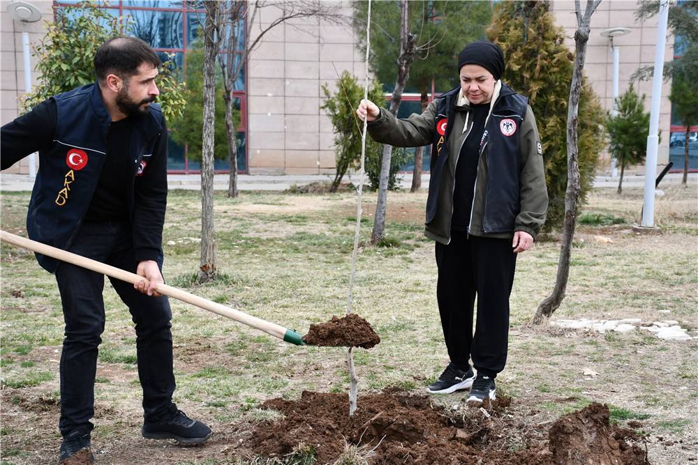 Gazi Yaşargil E.A. Hastanesinin Etrafına Sayın Vali Yardımcımız Fatih Ayaz ile Orman İşletme Müdürlüğüyle Hastane Başhekim ile Fidan Ektik
