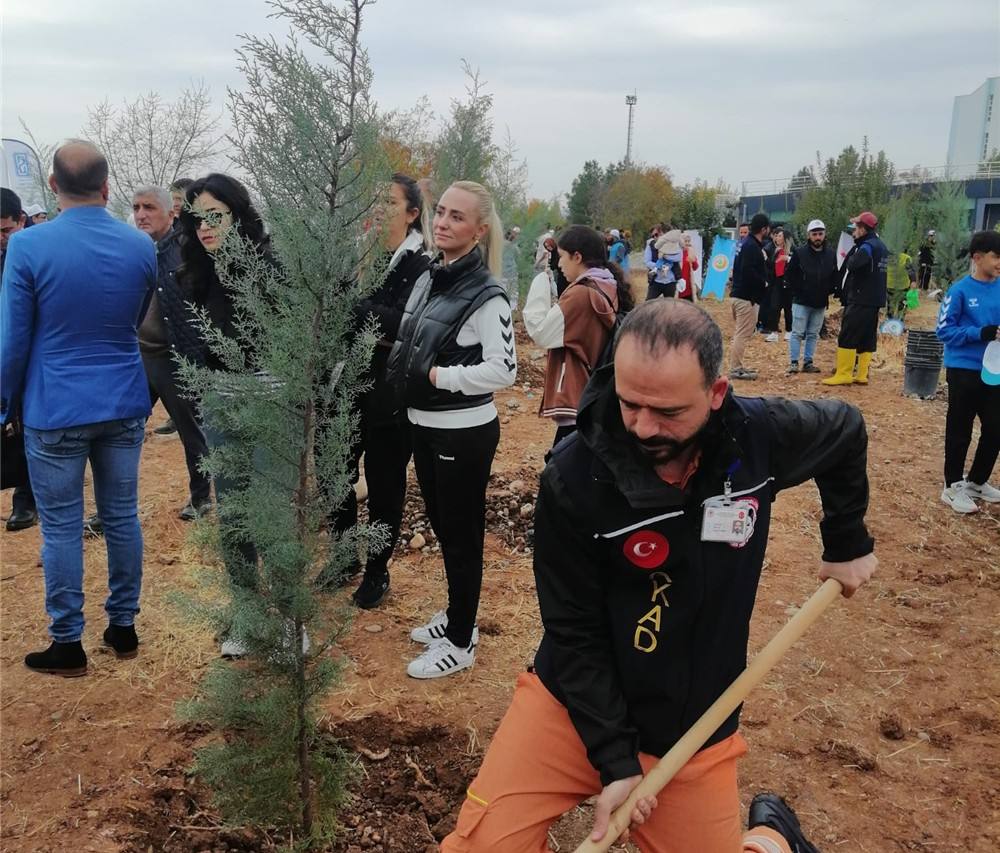 Dİcle Üniversitesi İlahiyat Fakültesinde Fidan Ekimi Etkinliğine Katıldık