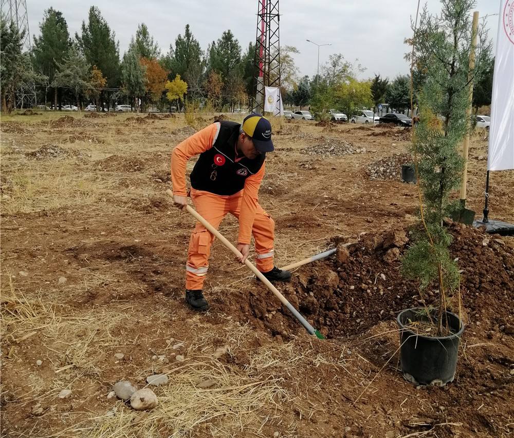 Dİcle Üniversitesi İlahiyat Fakültesinde Fidan Ekimi Etkinliğine Katıldık