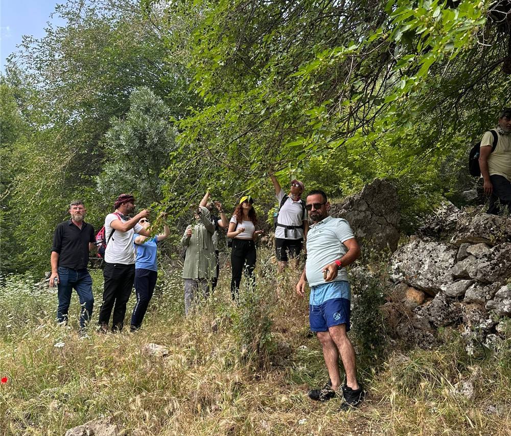 Hazro Goderne Taşköprü'ye Trekking Doğa Gezi Yürüyüşü Düzenledik