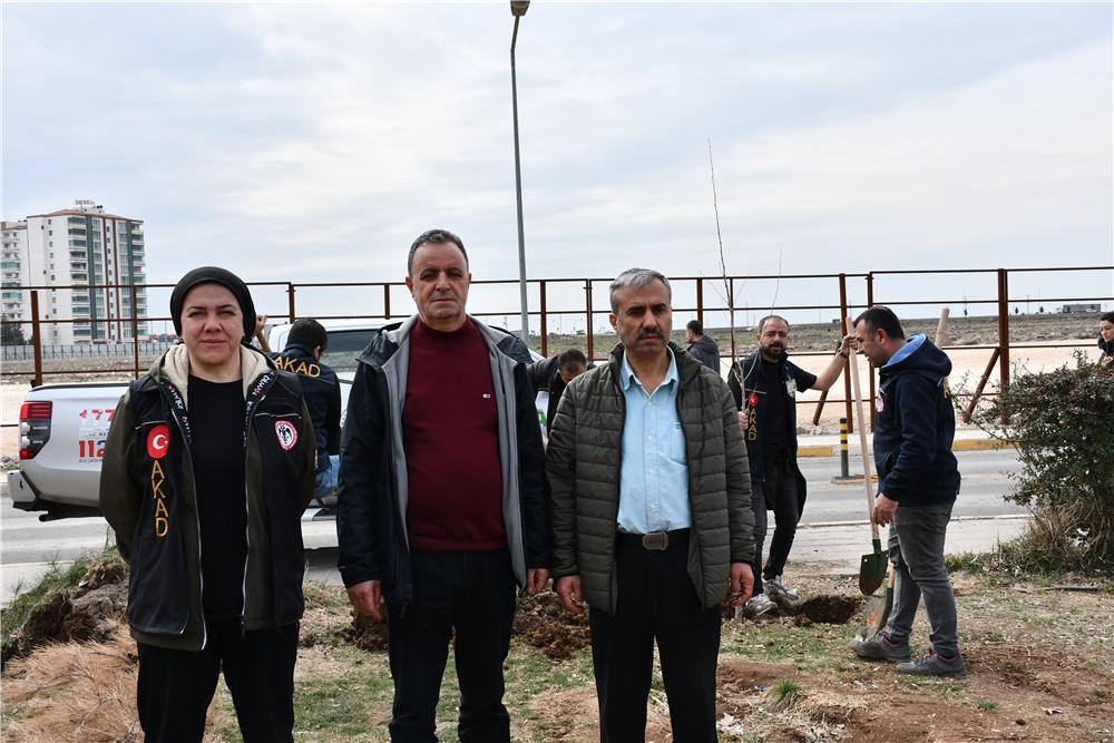Gazi Yaşargil E.A. Hastanesinin Etrafına Sayın Vali Yardımcımız Fatih Ayaz ile Orman İşletme Müdürlüğüyle Hastane Başhekim ile Fidan Ektik