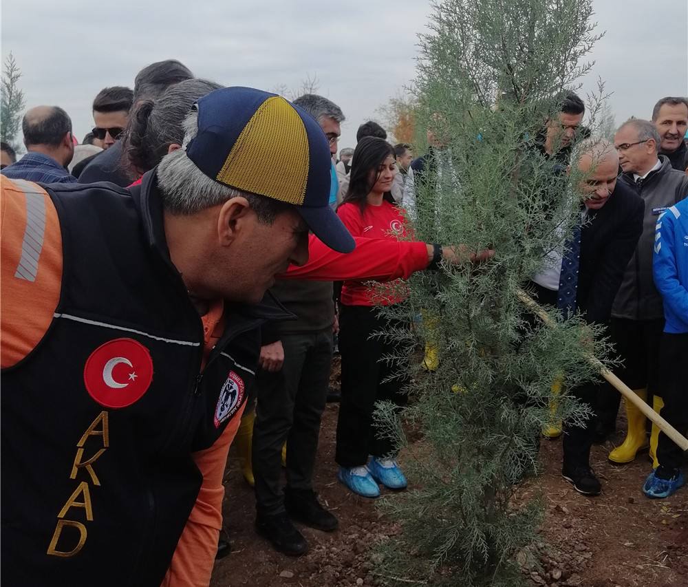 Dİcle Üniversitesi İlahiyat Fakültesinde Fidan Ekimi Etkinliğine Katıldık