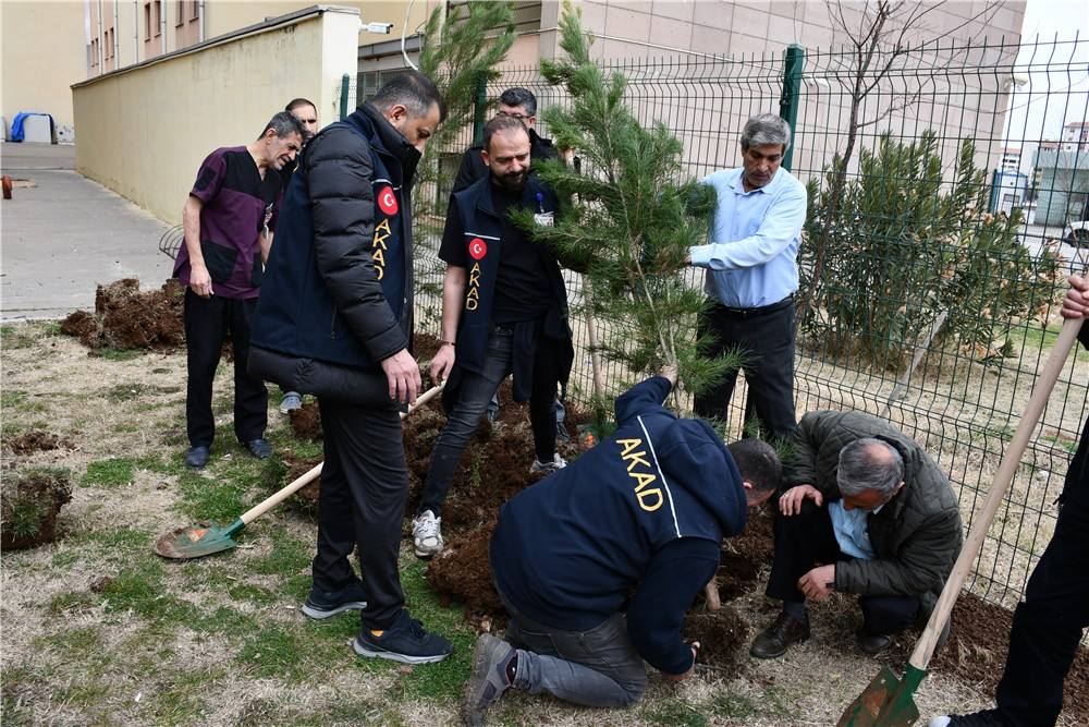 Gazi Yaşargil E.A. Hastanesinin Etrafına Sayın Vali Yardımcımız Fatih Ayaz ile Orman İşletme Müdürlüğüyle Hastane Başhekim ile Fidan Ektik