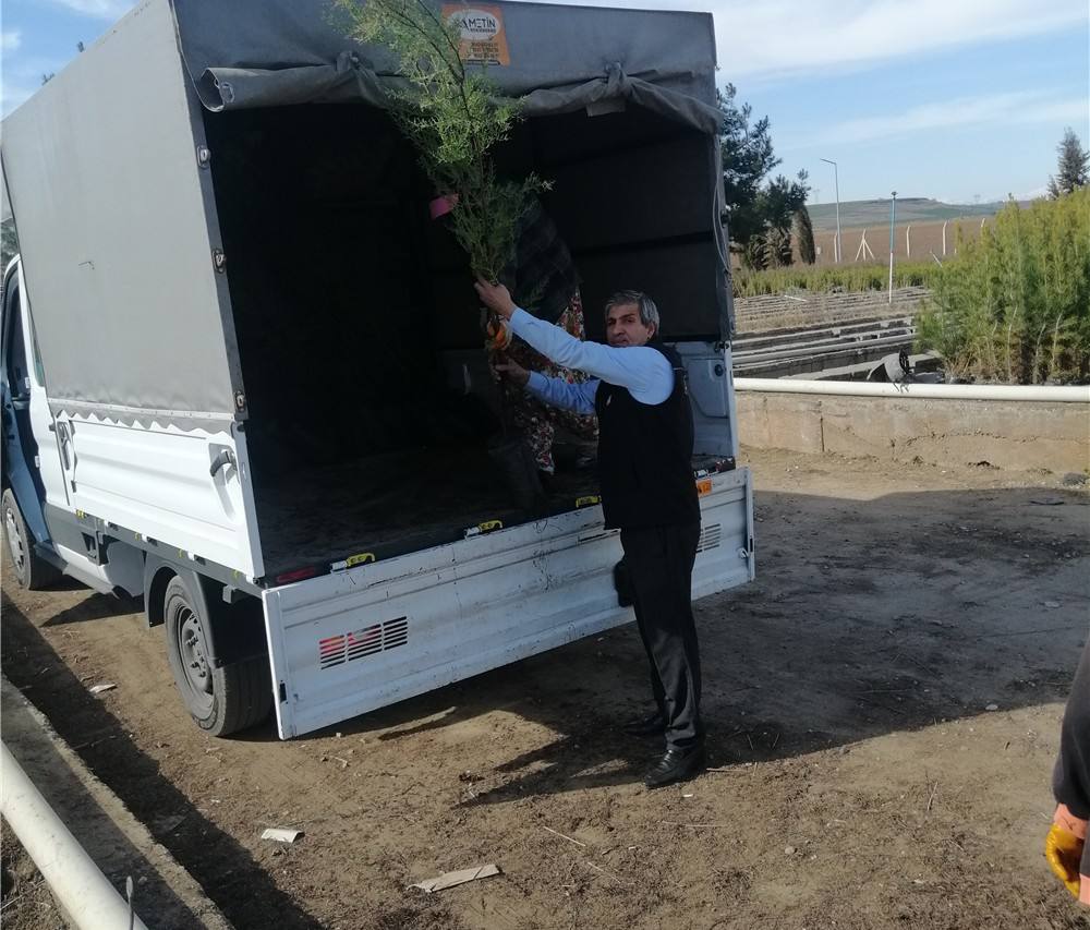 Gazi Yaşargil E.A. Hastanesinin Etrafına Sayın Vali Yardımcımız Fatih Ayaz ile Orman İşletme Müdürlüğüyle Hastane Başhekim ile Fidan Ektik