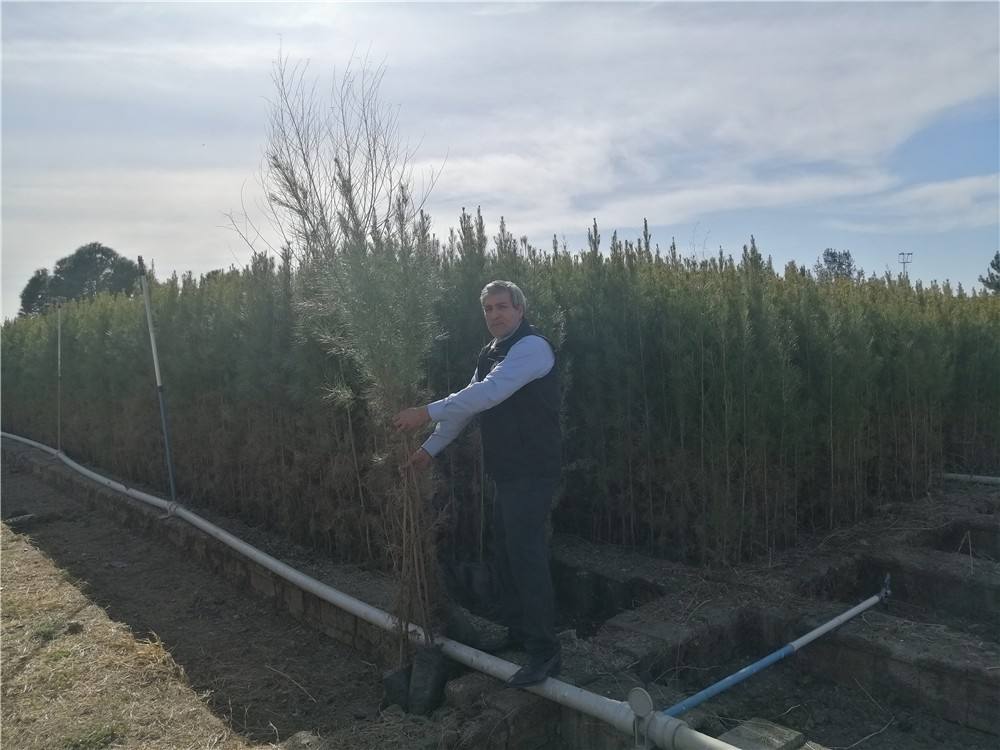 Gazi Yaşargil E.A. Hastanesinin Etrafına Sayın Vali Yardımcımız Fatih Ayaz ile Orman İşletme Müdürlüğüyle Hastane Başhekim ile Fidan Ektik