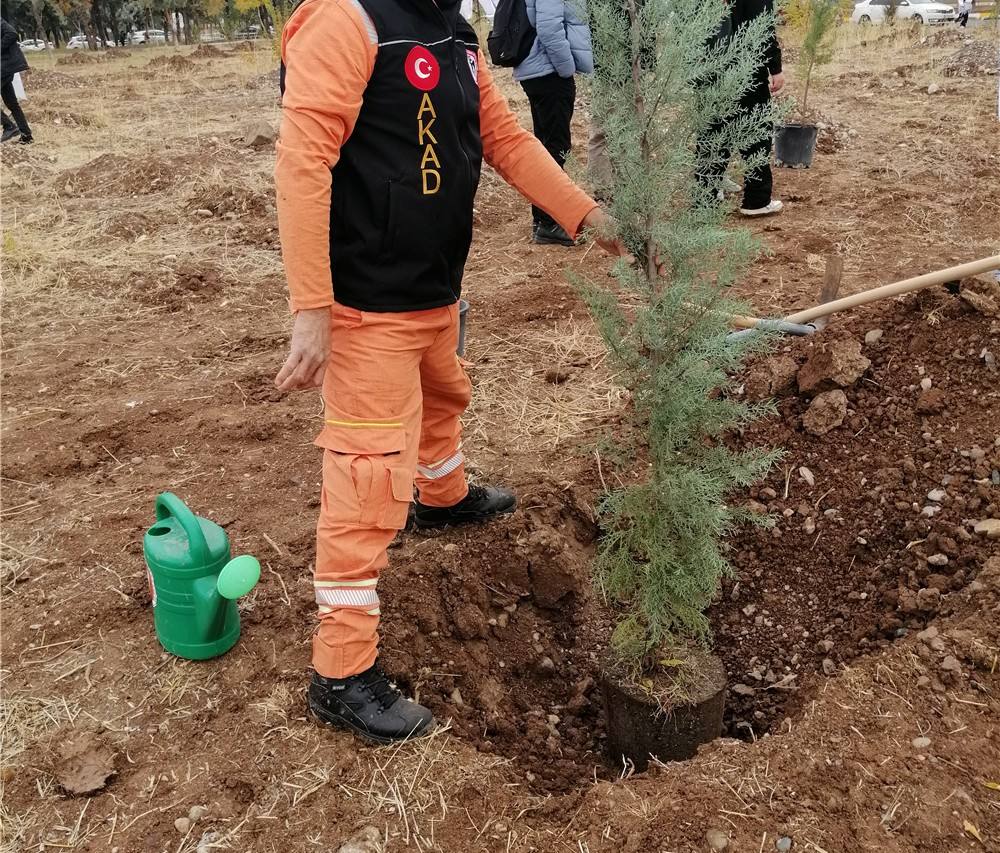 Dİcle Üniversitesi İlahiyat Fakültesinde Fidan Ekimi Etkinliğine Katıldık